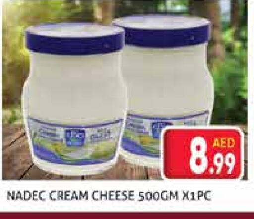 نادك جبنة كريمية available at مركز النخيل هايبرماركت in الإمارات العربية المتحدة , الامارات - الشارقة / عجمان
