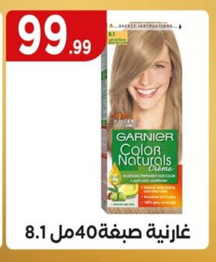 غارنييه available at مارت فيل in Egypt - القاهرة