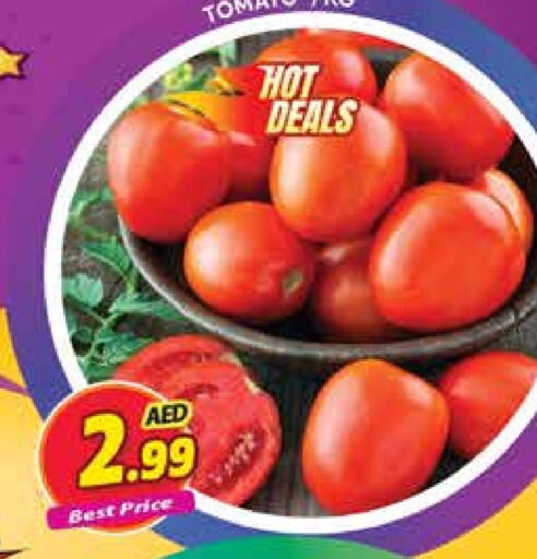 Tomato available at Palm Hypermarket Muhaisina LLC in UAE - Dubai