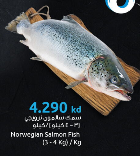 Fresh Fish in The Sultan Center, Kuwait Offers - Kuwait available at The Sultan Center in Kuwait - Kuwait City