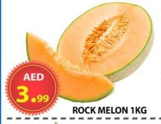فاكهة طازجة in مركز الوحدة للتخفيضات, UAE Offers - الإمارات العربية المتحدة Melon available at مركز الوحدة للتخفيضات in الإمارات العربية المتحدة , الامارات - الشارقة / عجمان