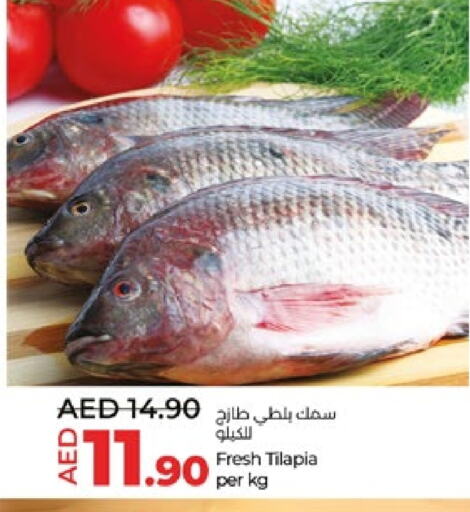 available at Lulu Hypermarket in UAE - Al Ain