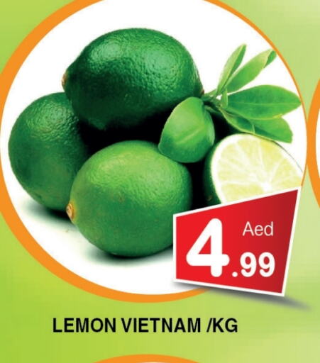 Fresh Vegetables in Ain Al Madina Hypermarket, UAE Offers - United Arab Emirates Lemon from Vietnam available at Ain Al Madina Hypermarket in UAE - Sharjah / Ajman