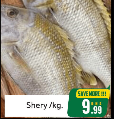 Fresh Fish in FOODZONE HYPERMARKET, UAE Offers - United Arab Emirates available at FOODZONE HYPERMARKET in UAE - Sharjah / Ajman