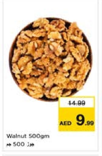 available at لاست تشانس in الإمارات العربية المتحدة , الامارات - ٱلْفُجَيْرَة‎