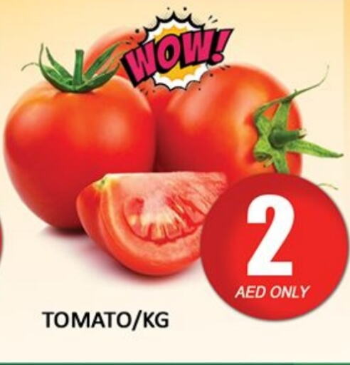 Tomato available at Al Madina  in UAE - Dubai