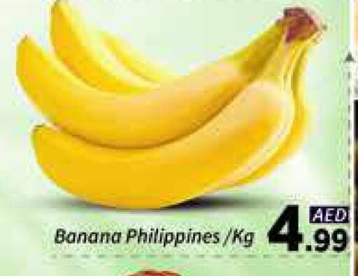 Banana from Philippines available at AIKO Mall and AIKO Hypermarket in UAE - Dubai