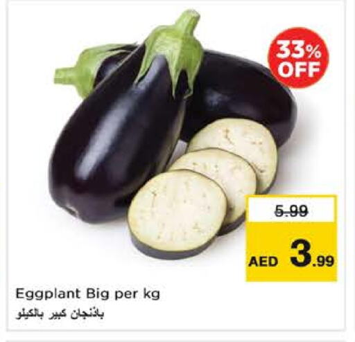 الخضروات الطازجة in نستو هايبرماركت, UAE Offers - الإمارات العربية المتحدة Eggplant available at نستو هايبرماركت in الإمارات العربية المتحدة , الامارات - ٱلْفُجَيْرَة