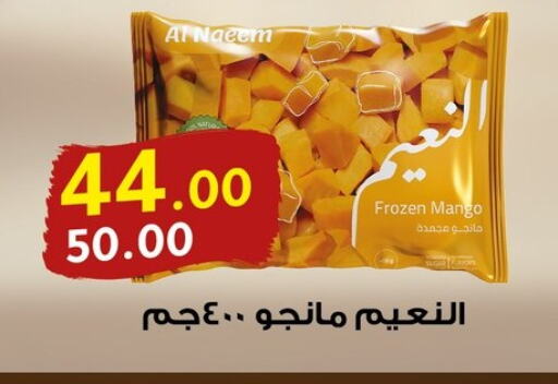 Frozen Fruits & Veg in Al Habib Market, Egypt Offers - Egypt Mango available at Al Habib Market in Egypt - Cairo