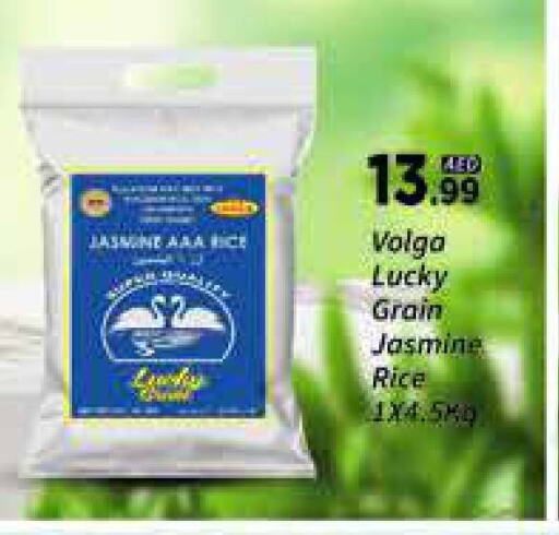 VOLGA Jasmine Rice available at AIKO Mall and AIKO Hypermarket in UAE - Dubai
