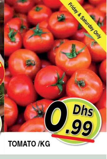 Tomato available at Ain Al Madina Hypermarket in UAE - Sharjah / Ajman