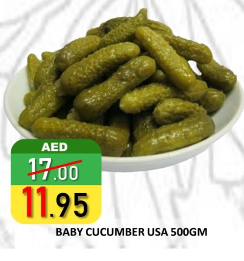Cucumber available at رويال جلف هايبرماركت in الإمارات العربية المتحدة , الامارات - أبو ظبي