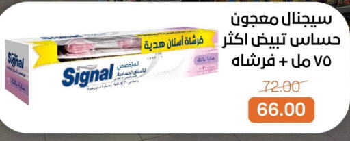 سيجنال معجون أسنان available at بيت الجملة in Egypt - القاهرة