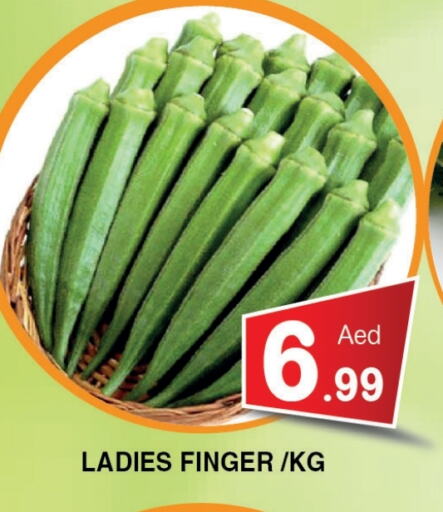 Fresh Vegetables in Ain Al Madina Hypermarket, UAE Offers - United Arab Emirates available at Ain Al Madina Hypermarket in UAE - Sharjah / Ajman