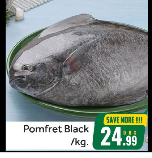 Fresh Fish in FOODZONE HYPERMARKET, UAE Offers - United Arab Emirates available at FOODZONE HYPERMARKET in UAE - Sharjah / Ajman