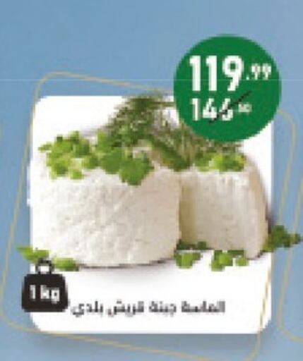 جبنة و كريم in الحبيب ماركت, Egypt Offers - Egypt available at الحبيب ماركت in Egypt - القاهرة
