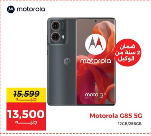 MOTOROLA available at Raneen in Egypt - Cairo
