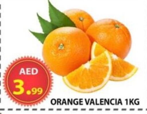 فاكهة طازجة in مركز الوحدة للتخفيضات, UAE Offers - الإمارات العربية المتحدة برتقال available at مركز الوحدة للتخفيضات in الإمارات العربية المتحدة , الامارات - الشارقة / عجمان