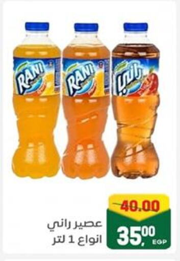 available at Galhom Market in Egypt - Cairo