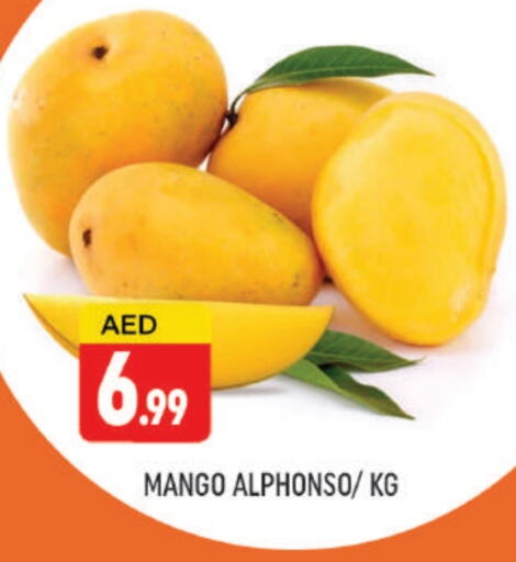 زيبا زيبا available at المدينة in الإمارات العربية المتحدة , الامارات - دبي
