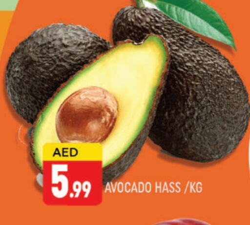 أفوكادو available at المدينة in الإمارات العربية المتحدة , الامارات - دبي