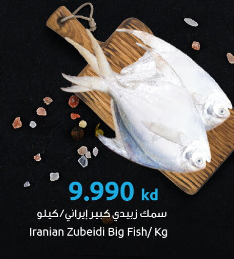 Fresh Fish in The Sultan Center, Kuwait Offers - Kuwait available at The Sultan Center in Kuwait - Kuwait City