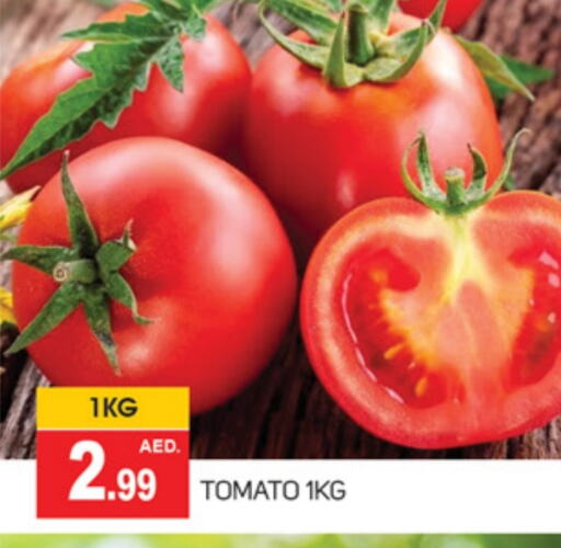 Tomato available at سوق طلال in الإمارات العربية المتحدة , الامارات - أبو ظبي