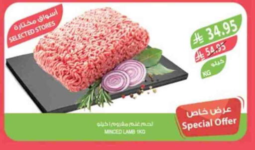 اللحوم الطازجة والمبردة in المزرعة, المملكة العربية السعودية Offers - المملكة العربية السعودية لحم الضأن / الغنم available at المزرعة in مملكة العربية السعودية, السعودية, سعودية - سكاكا