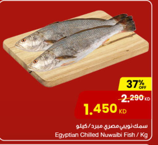 available at مركز سلطان in الكويت - محافظة الجهراء