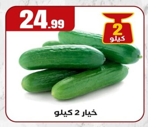 Cucumber available at MartVille in Egypt - Cairo