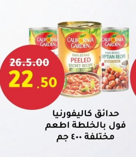 CALIFORNIA GARDEN Fava Beans available at Al Habib Market in Egypt - Cairo