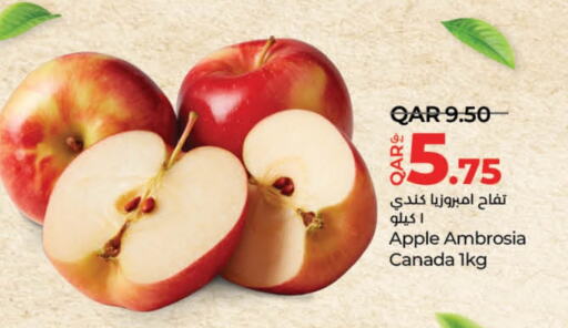 Fresh Fruits in LuLu Hypermarket, Qatar Offers - Qatar Apples from Canada available at LuLu Hypermarket in Qatar - Al-Shahaniya