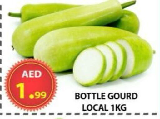 Gourd available at AL WAHDA DISCOUNTS CENTRE in UAE - Sharjah / Ajman