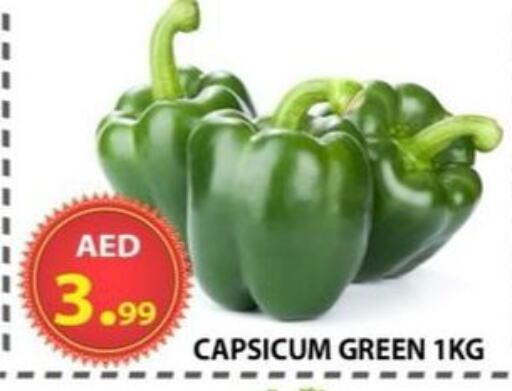 Fresh Vegetables in AL WAHDA DISCOUNTS CENTRE, UAE Offers - United Arab Emirates Chilli / Capsicum available at AL WAHDA DISCOUNTS CENTRE in UAE - Sharjah / Ajman