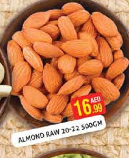 available at Palm Hypermarket Muhaisina LLC in UAE - Dubai