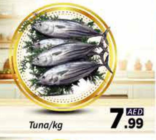 Fresh Fish in AIKO Mall and AIKO Hypermarket, UAE Offers - United Arab Emirates Tuna available at AIKO Mall and AIKO Hypermarket in UAE - Dubai
