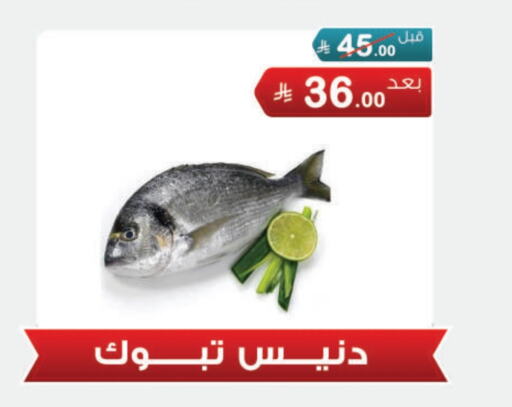 Fresh Fish in Al Rasheed Markets, Saudi Arabia Offers - Saudi Arabia available at Al Rasheed Markets in KSA, Saudi Arabia, Saudi - Riyadh