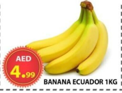 فاكهة طازجة in مركز الوحدة للتخفيضات, UAE Offers - الإمارات العربية المتحدة موز from Ecuador available at مركز الوحدة للتخفيضات in الإمارات العربية المتحدة , الامارات - الشارقة / عجمان