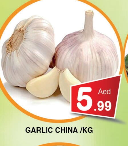 Fresh Vegetables in Ain Al Madina Hypermarket, UAE Offers - United Arab Emirates Garlic from China available at Ain Al Madina Hypermarket in UAE - Sharjah / Ajman