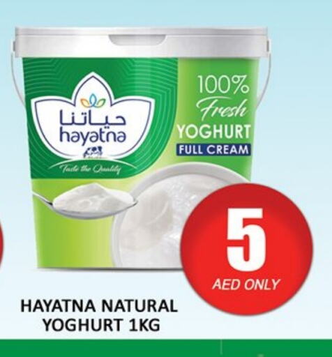 HAYATNA Yoghurt available at Al Madina  in UAE - Dubai