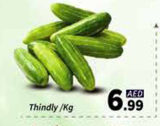 Fresh Vegetables in AIKO Mall and AIKO Hypermarket, UAE Offers - United Arab Emirates available at AIKO Mall and AIKO Hypermarket in UAE - Dubai