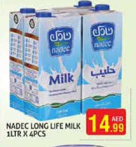 Long Life / UHT Milk available at Palm Hypermarket Muhaisina LLC in UAE - Dubai