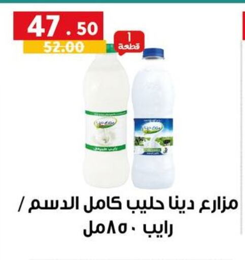 available at الحبيب ماركت in Egypt - القاهرة