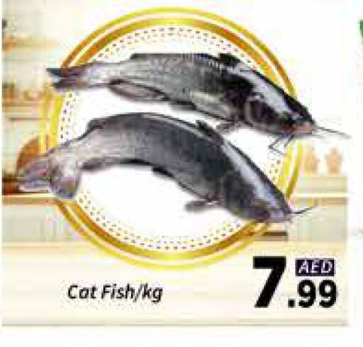 Fresh Fish in AIKO Mall and AIKO Hypermarket, UAE Offers - United Arab Emirates available at AIKO Mall and AIKO Hypermarket in UAE - Dubai