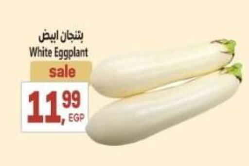 Fresh Vegetables in El.Husseini supermarket , Egypt Offers - Egypt Eggplant available at El.Husseini supermarket in Egypt - Cairo