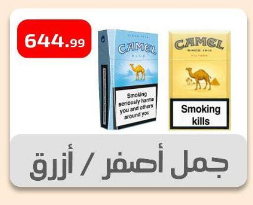 Household Essentials in Ehab Prince, Egypt Offers - Egypt available at Ehab Prince in Egypt - Cairo