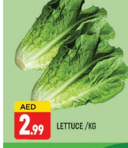 الخضروات الطازجة in المدينة, UAE Offers - الإمارات العربية المتحدة Lettuce available at المدينة in الإمارات العربية المتحدة , الامارات - دبي