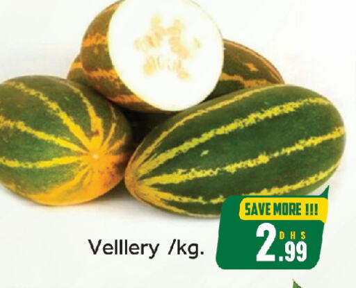 Fresh Vegetables in FOODZONE HYPERMARKET, UAE Offers - United Arab Emirates available at FOODZONE HYPERMARKET in UAE - Sharjah / Ajman