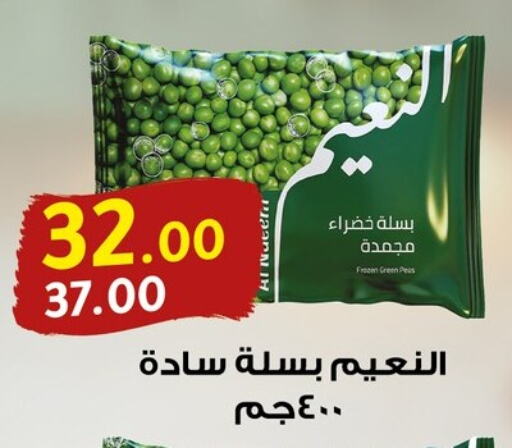 Frozen Fruits & Veg in Al Habib Market, Egypt Offers - Egypt available at Al Habib Market in Egypt - Cairo