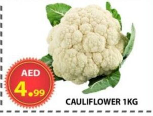 Fresh Vegetables in AL WAHDA DISCOUNTS CENTRE, UAE Offers - United Arab Emirates Cauliflower available at AL WAHDA DISCOUNTS CENTRE in UAE - Sharjah / Ajman